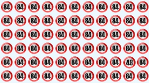Optical Illusion: Can You Identify the Number 48 Before Time Runs Out?