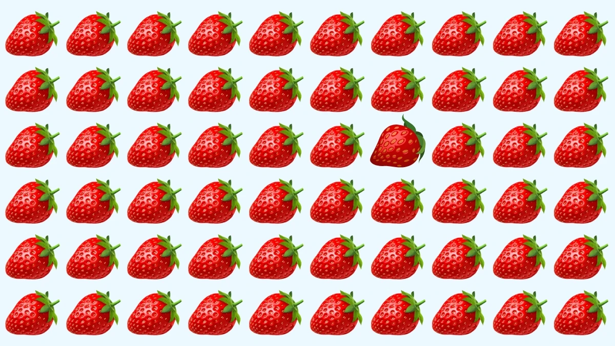 Optical Illusion: Can You Identify the Odd Strawberry in Just 6 Seconds? Optical Illusion: Can You Identify the Odd Strawberry in Just 6 Seconds?