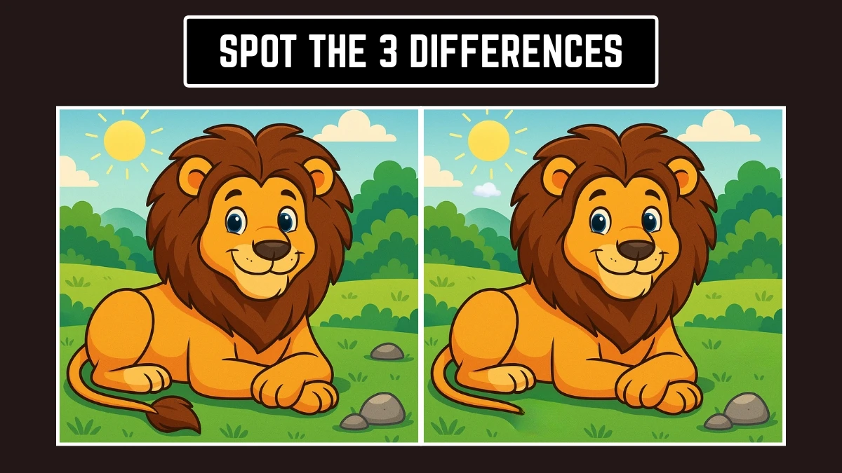 Optical Illusion: Can You Spot the 3 Differences in 8 Seconds? Optical Illusion: Can You Spot the 3 Differences in 8 Seconds?
