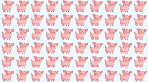 Optical Illusion: Challenge Your Eyes to Find The Odd Pig in 6 Seconds