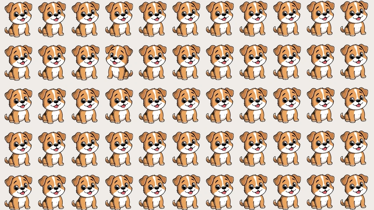 Optical Illusion: Challenge Yourself to Spot the Different Dog in 5 Seconds Optical Illusion: Challenge Yourself to Spot the Different Dog in 5 Seconds