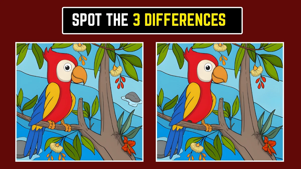 Optical Illusion: Only Sharp Eyes Will See These 3 Differences