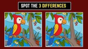 Optical Illusion: Only Sharp Eyes Will See These 3 Differences