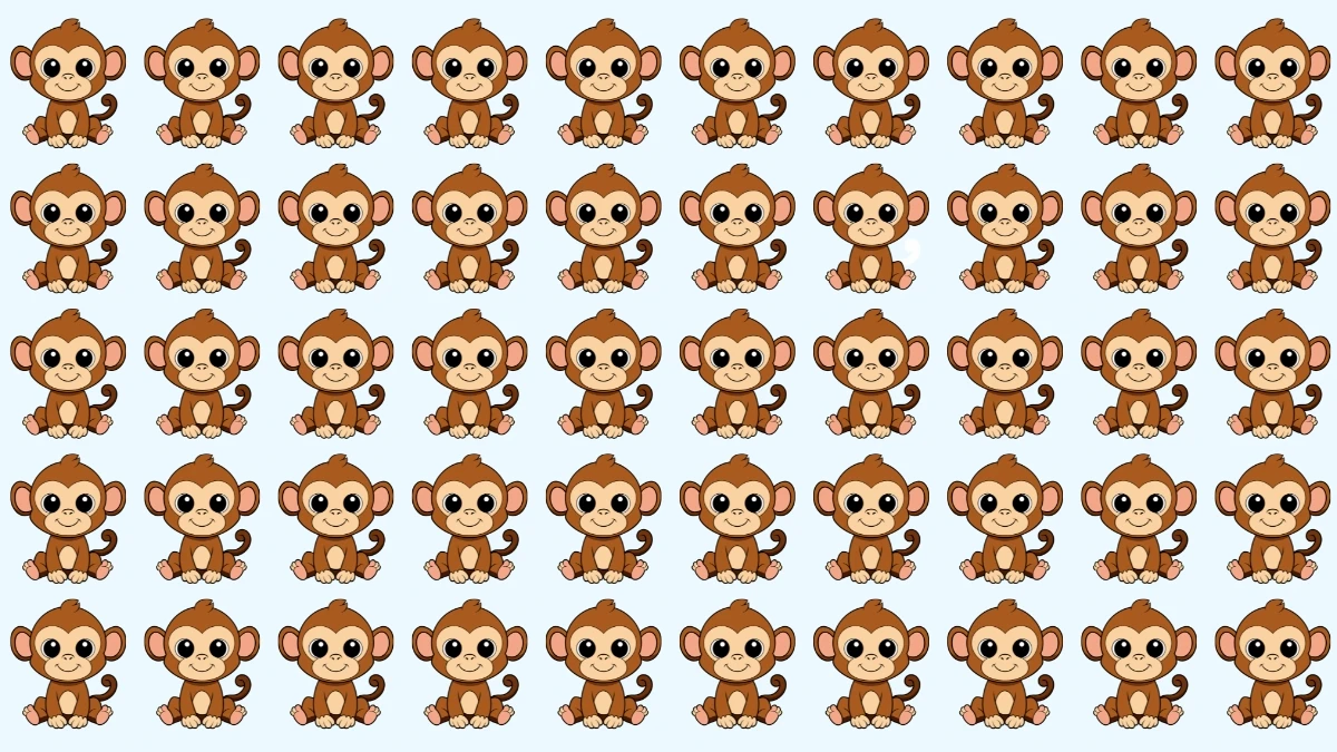 Optical Illusion: Only the Sharpest Eyes Can Discover the Odd Monkey Fast!