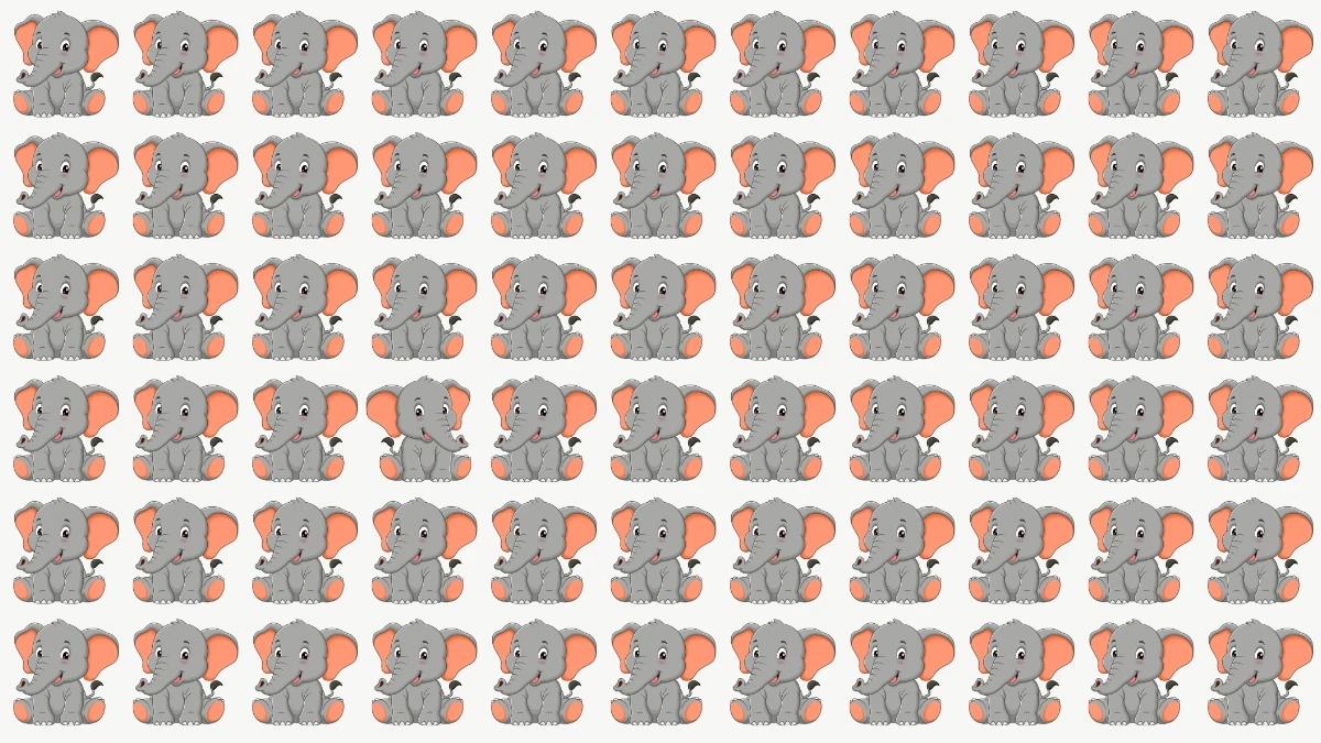 Optical Illusion: Spot the Odd Elephant in 6 Seconds