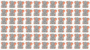 Optical Illusion: Spot the Odd Elephant in 6 Seconds