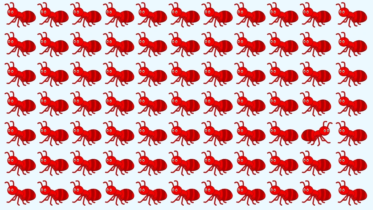 Optical Illusion: Test Your Eyes - Find the Odd One in 5 Seconds Optical Illusion: Test Your Eyes - Find the Odd One in 5 Seconds