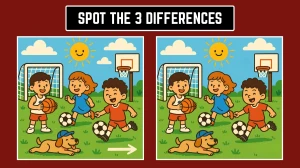 Optical Illusion: Test Your Eyes with These 3 Hidden Differences!