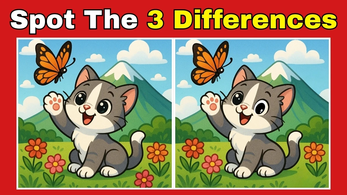 Brain Teaser: Can You Find All 3 Differences in Just 7 Seconds?