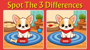 Brain Teaser: Can You Find All 3 Differences in Just 8 Seconds?