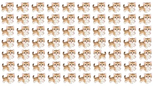 Optical Illusion: Challenge Yourself to Spot the Different Cat in 5 Seconds