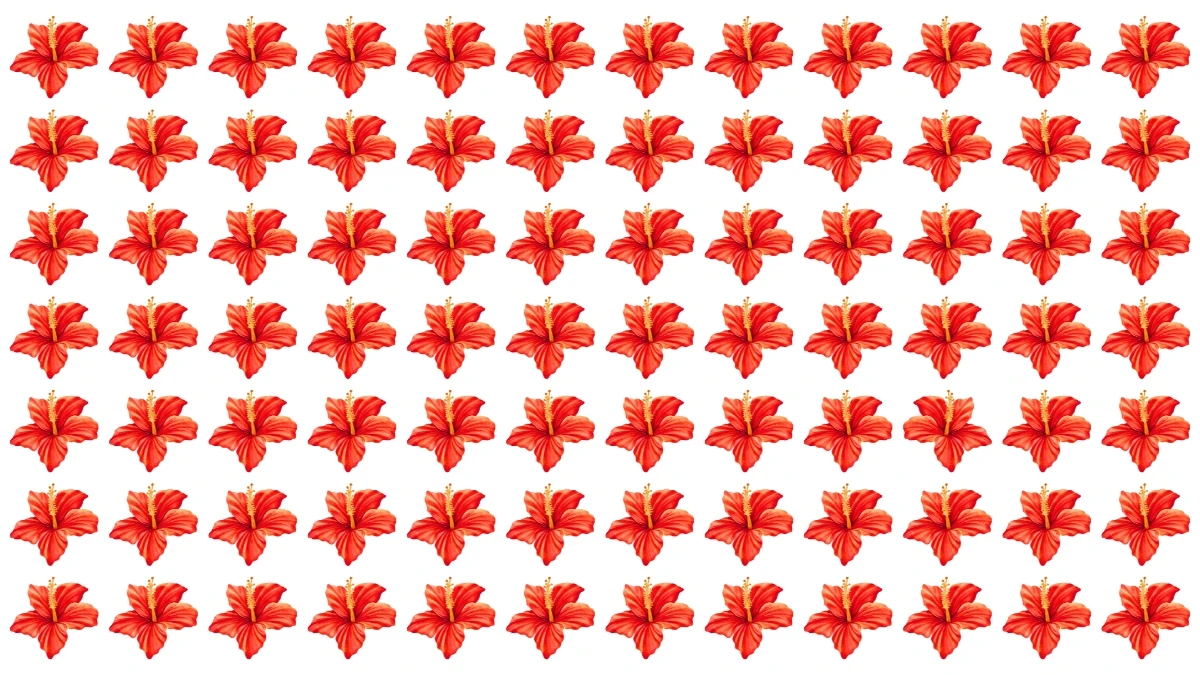 Optical Illusion: Challenge Yourself to Spot the Different Flower in 5 Seconds Optical Illusion: Challenge Yourself to Spot the Different Flower in 5 Seconds