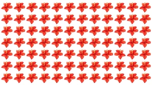 Optical Illusion: Challenge Yourself to Spot the Different Flower in 5 Seconds
