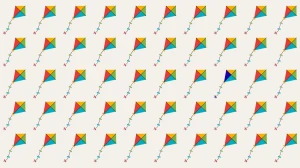 Optical Illusion: Challenge Yourself to Spot the Different Kite in 5 Seconds