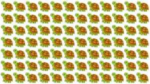 Optical Illusion: Challenge Yourself to Spot the Different Turtoise in 8 Seconds