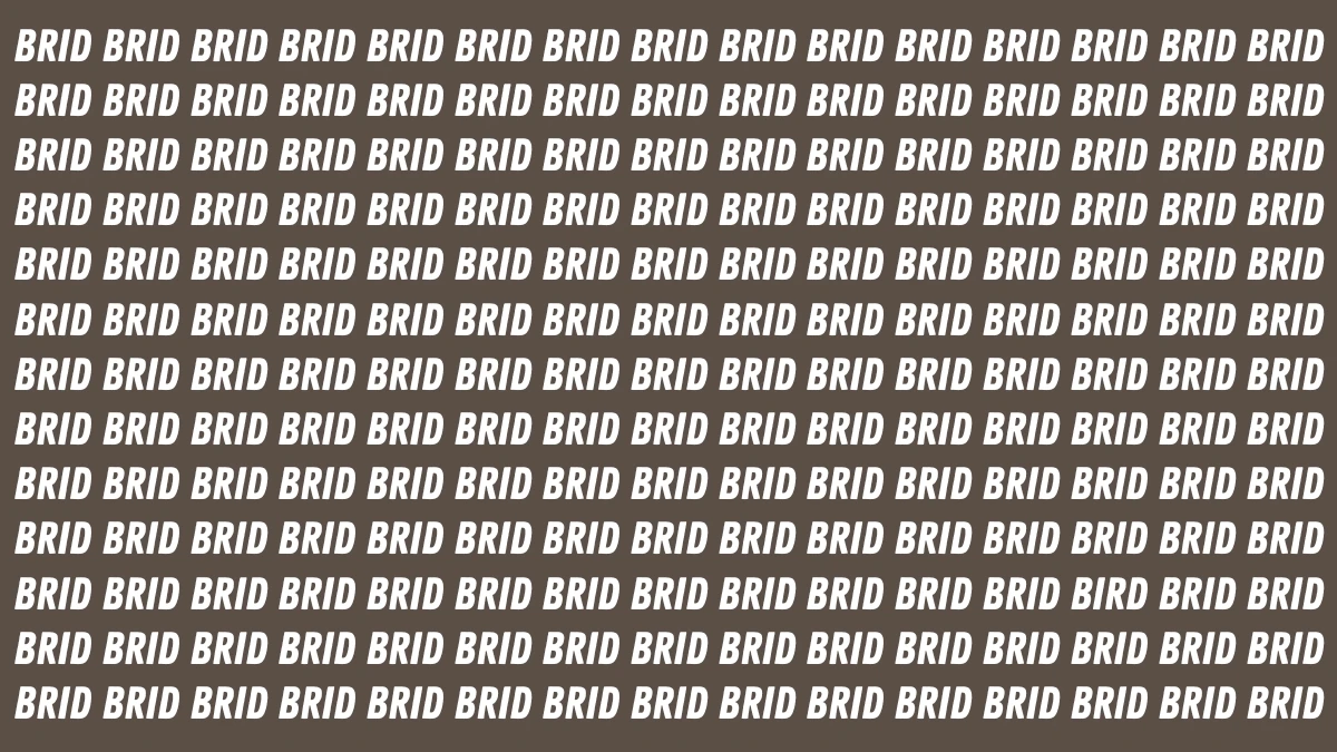 Optical Illusion: Only Sharp Eyes Can See the Hidden Word BIRD in 6 Seconds