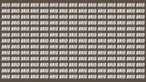 Optical Illusion: Only Sharp Eyes Can See the Hidden Word BIRD in 6 Seconds