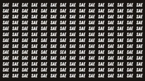 Optical Illusion: Only Sharp Eyes Can See the Hidden Word SEA in 6 Seconds