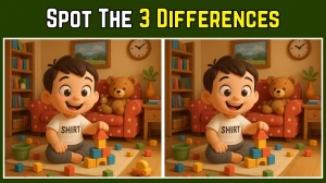 Optical Illusion: Test Your Eyes with These 3 Hidden Differences!