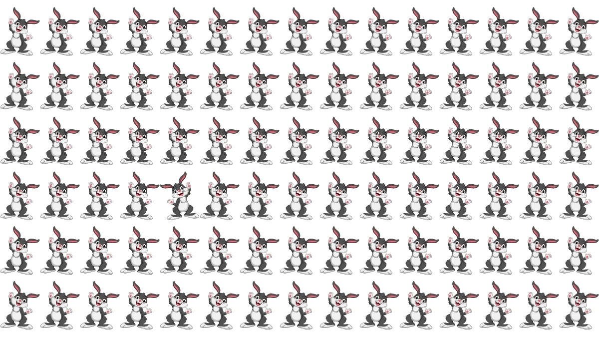 Optical Illusion: Challenge Yourself to Spot the Different Rabbit in 8 Seconds Optical Illusion: Challenge Yourself to Spot the Different Rabbit in 8 Seconds