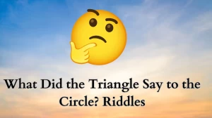 What Did the Triangle Say to the Circle? Riddles and Solution
