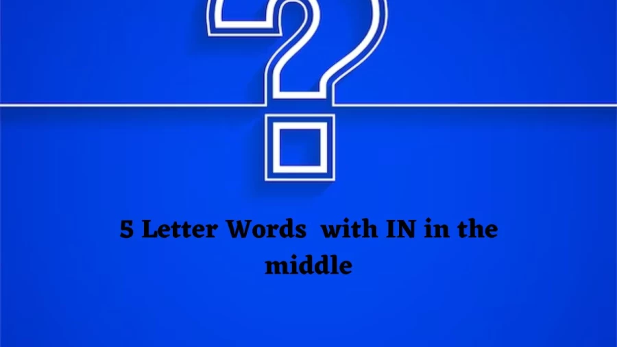 5 Letter Words with IN in the middle Wordle Answer