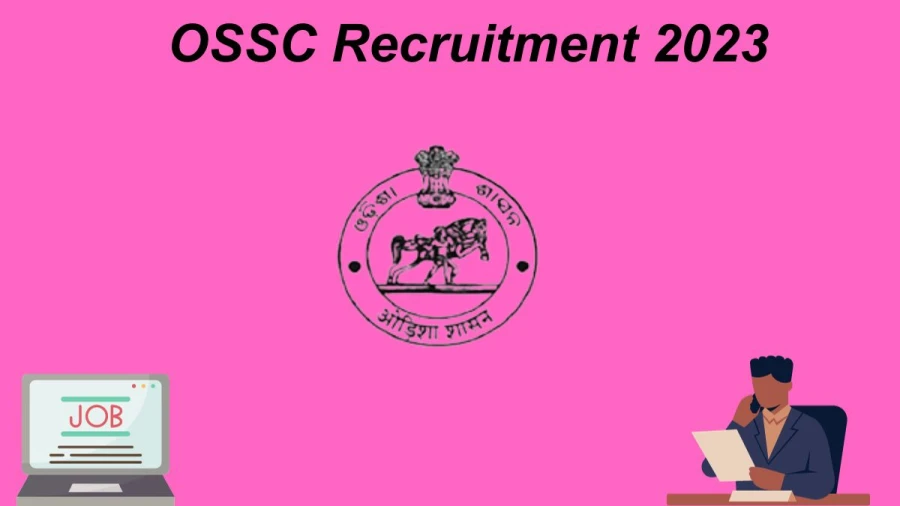 OSSC Recruitment 2023 Out for Vital Assistant Statistics Vacancy Apply Online at ossc.gov.in