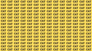 Optical Illusion Eye Test: If you have Eagle Eyes Find the Word Rat among Cat in 10 Secs
