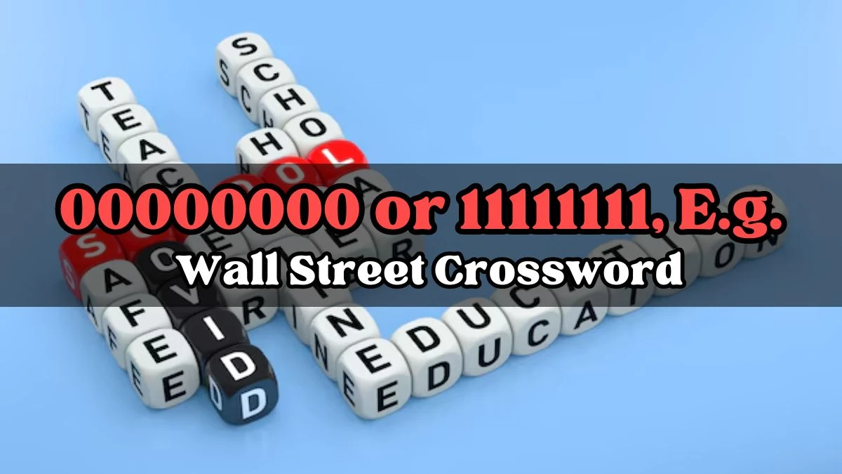 00000000 or 11111111, E.g. Wall Street Crossword Clue Answer For Today, March 27, 2024
