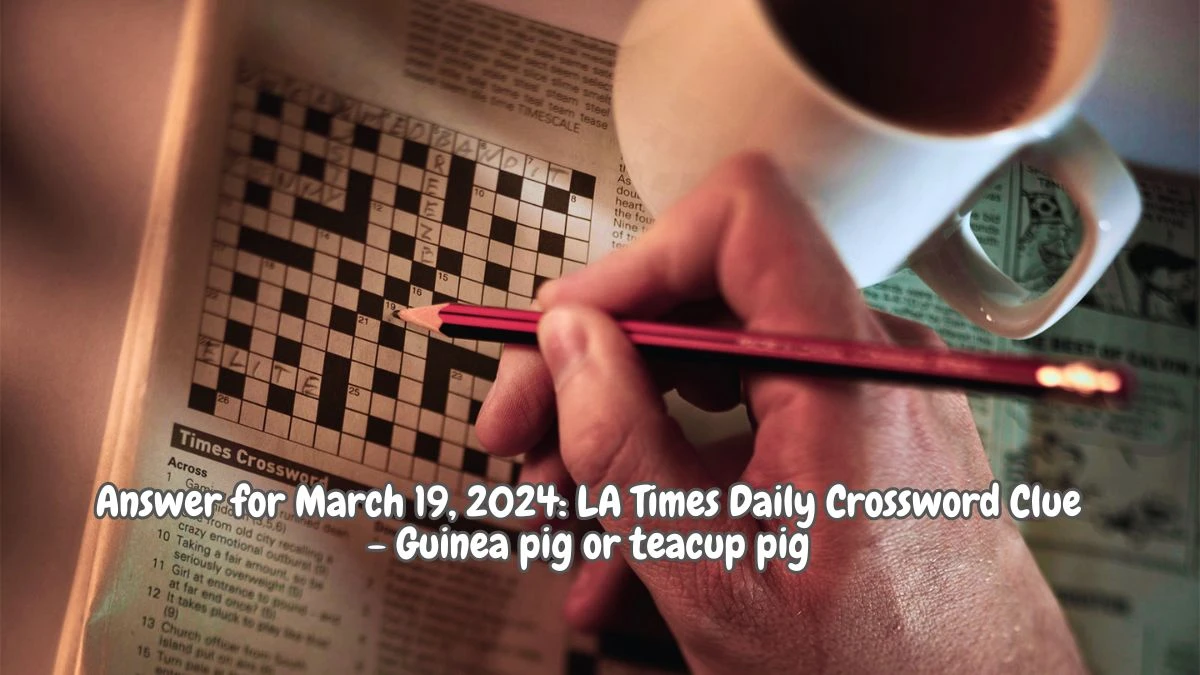 Answer for March 19, 2024: LA Times Daily Crossword Clue - Guinea pig or teacup pig