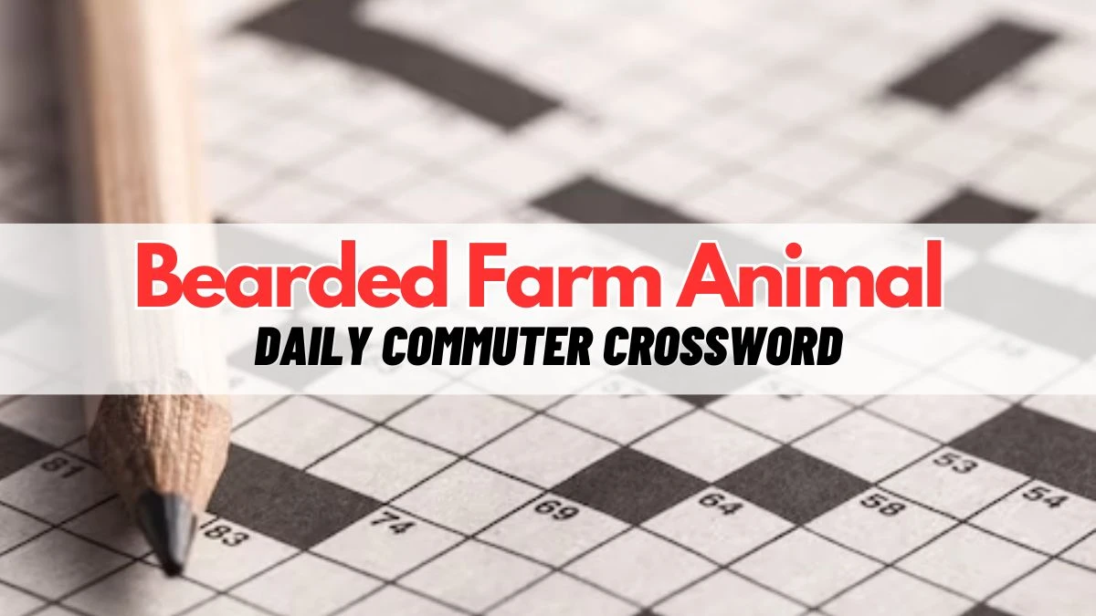 Bearded Farm Animal Daily Commuter Crossword Answer - March 18, 2024