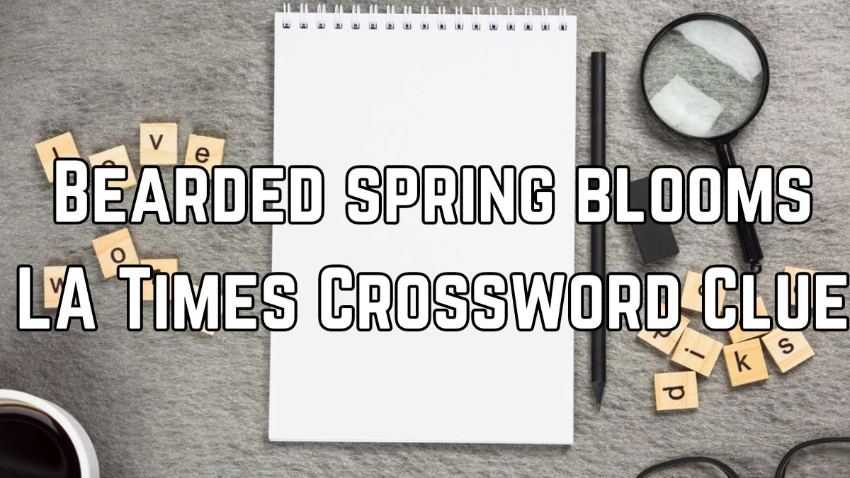 Bearded spring blooms LA Times Crossword Clue Answer Today