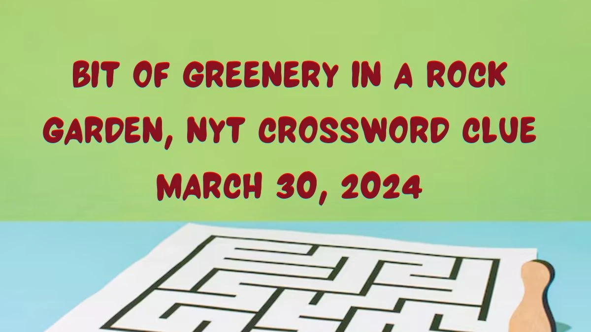 Bit of Greenery in a Rock Garden, NYT Crossword Clue March 30, 2024