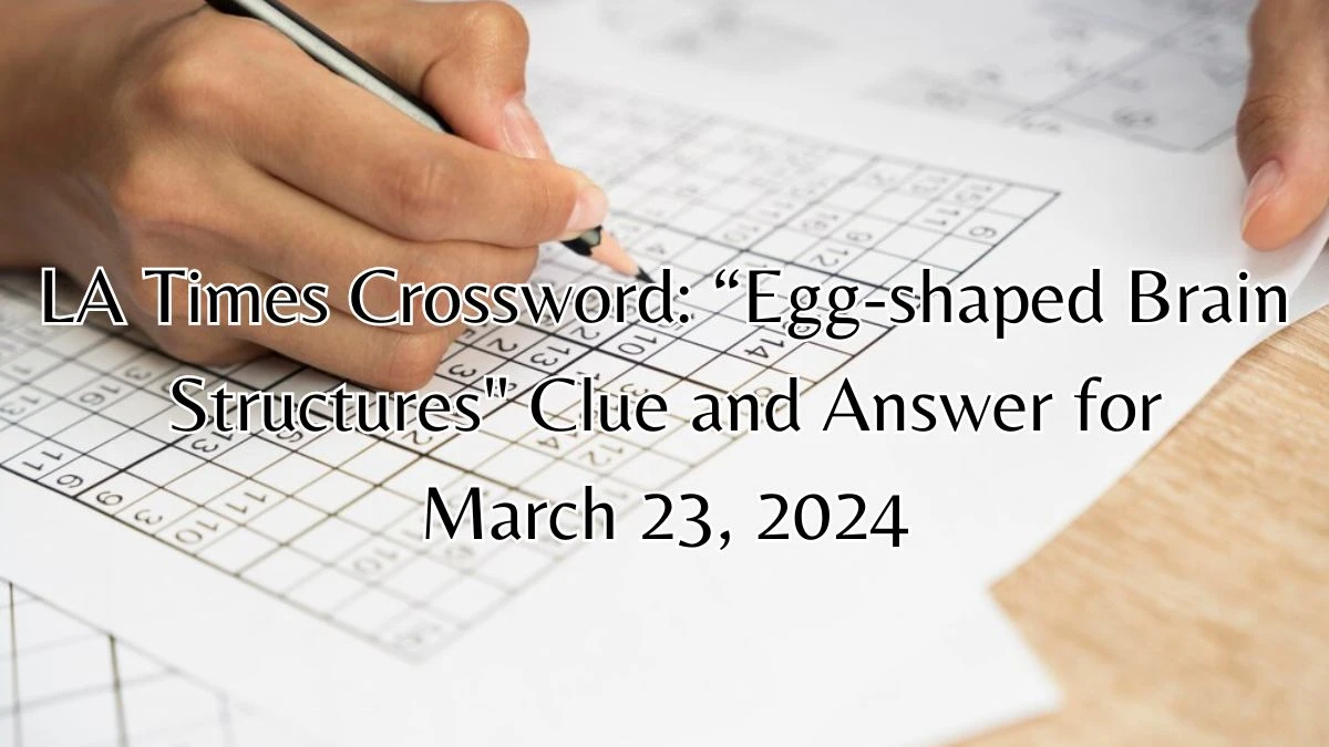 LA Times Crossword: “Egg-shaped Brain Structures Clue and Answer for March 23, 2024