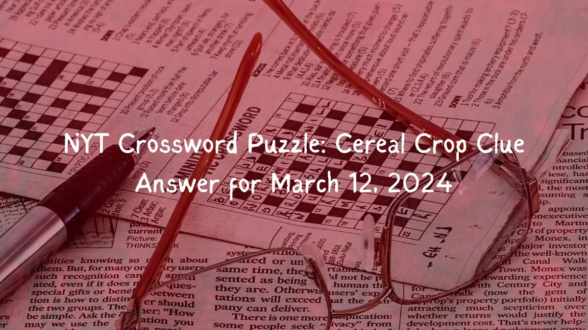 NYT Crossword Puzzle: Cereal Crop Clue Answer for March 12, 2024