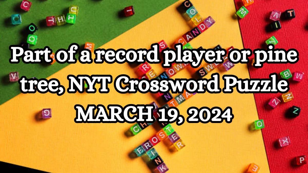 Part of a record player or pine tree, NYT Crossword Puzzle MARCH 19, 2024