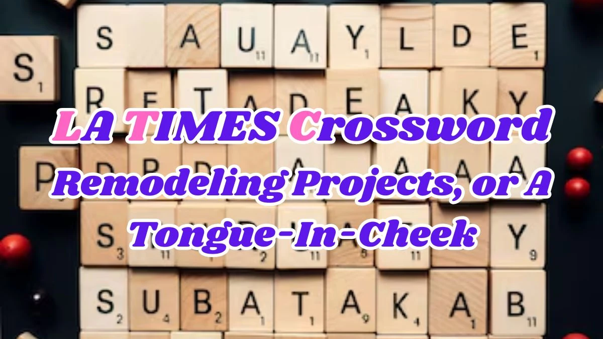 Solving LA Times Crossword - Remodeling Projects, or A Tongue-In-Cheek Answer March 13, 2024