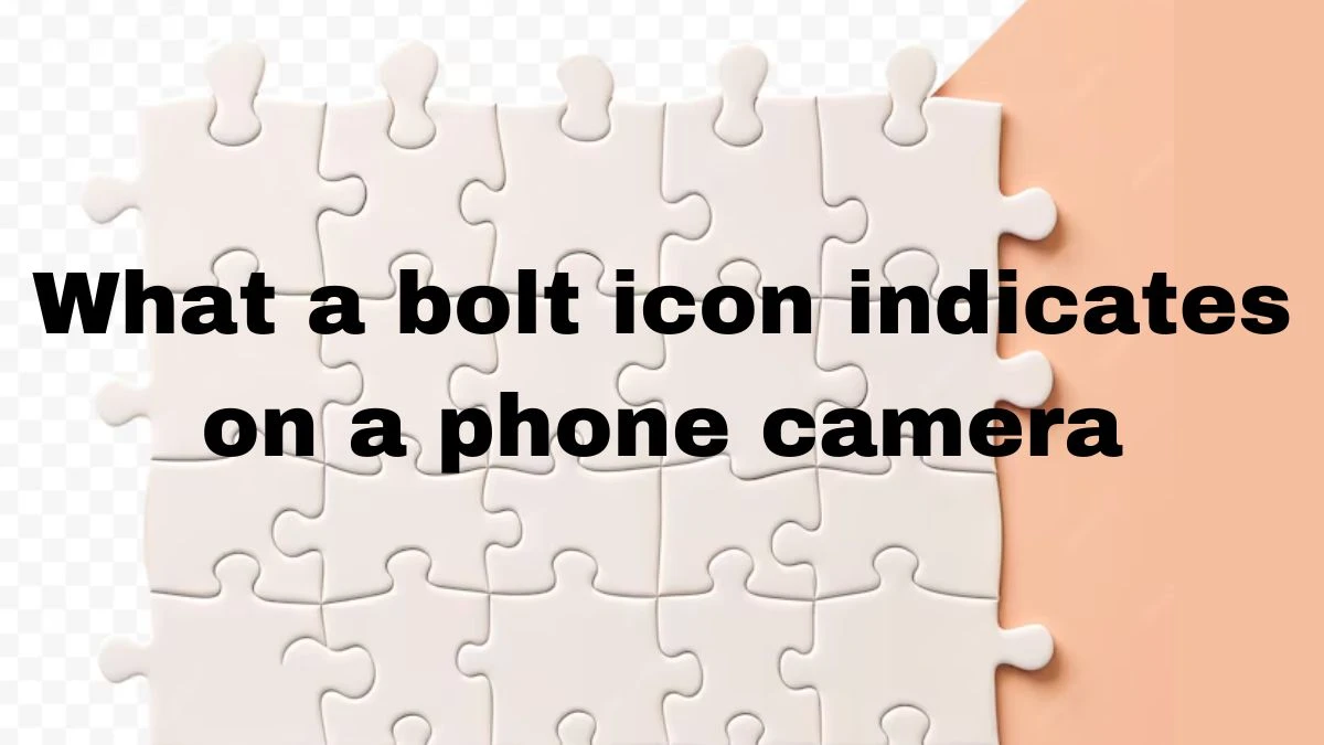 What a bolt icon indicates on a phone camera NYT Mini Crossword Clue Answer Today