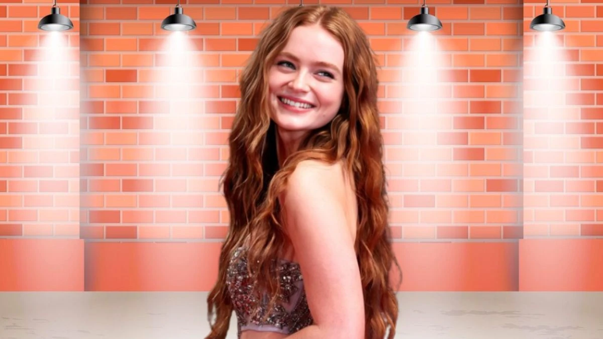 Who is Sadie Sink? Sadie Sink Age, Career, and More