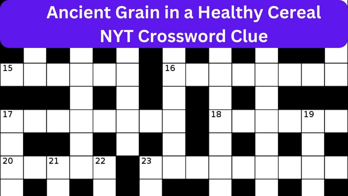 Ancient Grain in a Healthy Cereal NYT Crossword Clue, April 24, 2024
