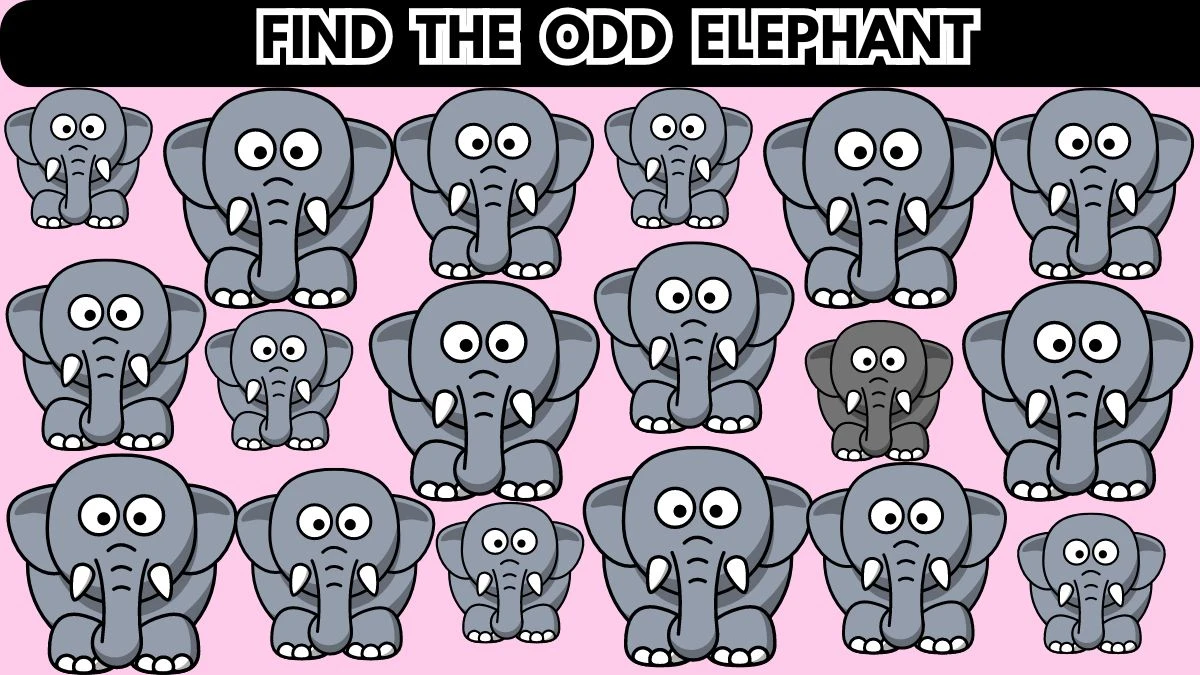 Brain Teaser For Geniuses: Only Smartest People Can Spot the Different Elephant in 6 Secs