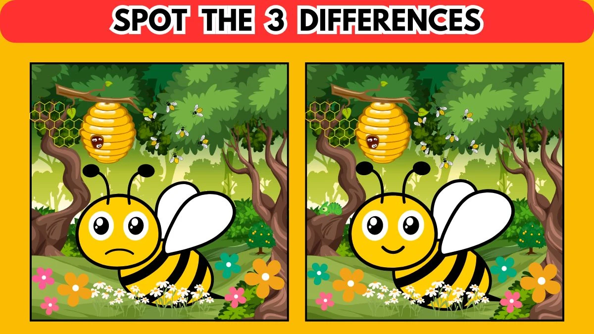 Brain Teaser Spot the Difference Game: Only 50/50 Vision Can Spot the 3 Differences in this Bee Image in 10 Secs