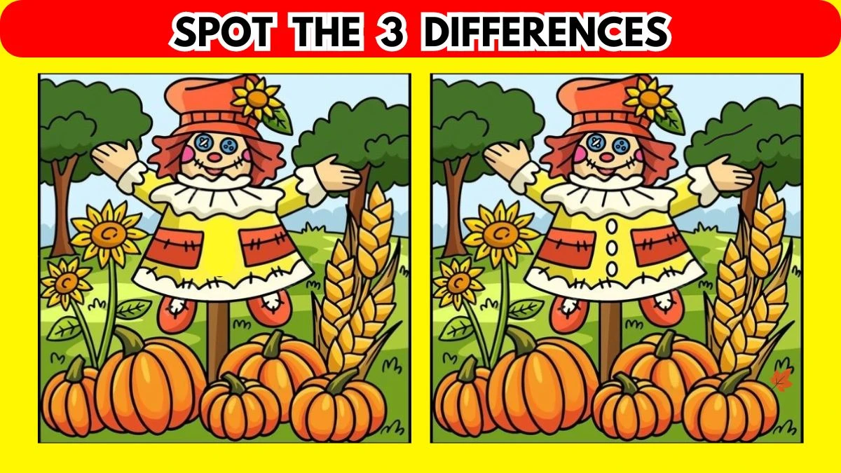 Brain Teaser Spot the Difference Game: Only highly observant people can spot the 3 Differences in this Straw Man Image in 10 Secs
