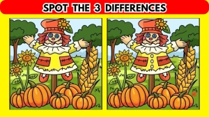 Brain Teaser Spot the Difference Game: Only highly observant people can spot the 3 Differences in this Straw Man Image in 10 Secs