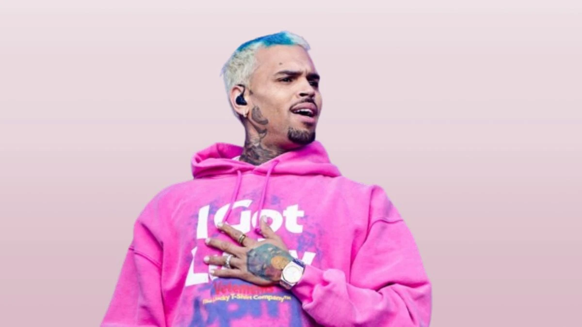 Chris Brown My Slime Lyrics, know the real meaning of My Slime Song Lyrics