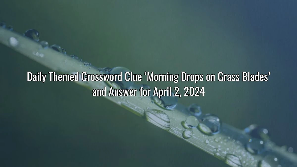 Daily Themed Crossword Clue ‘Morning Drops on Grass Blades’ and Answer for April 2, 2024