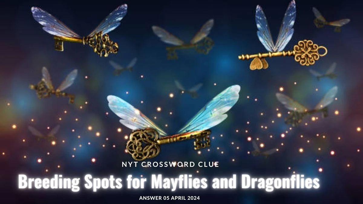 Find Answer to NYT Crossword Clue Breeding Spots for Mayflies and