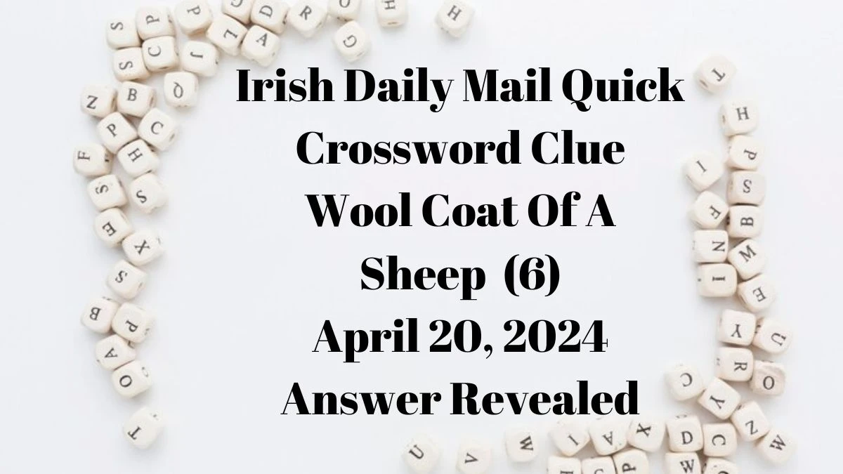 Irish Daily Mail Quick Crossword Clue Wool Coat Of a Sheep (6) April 20, 2024 Answer Revealed