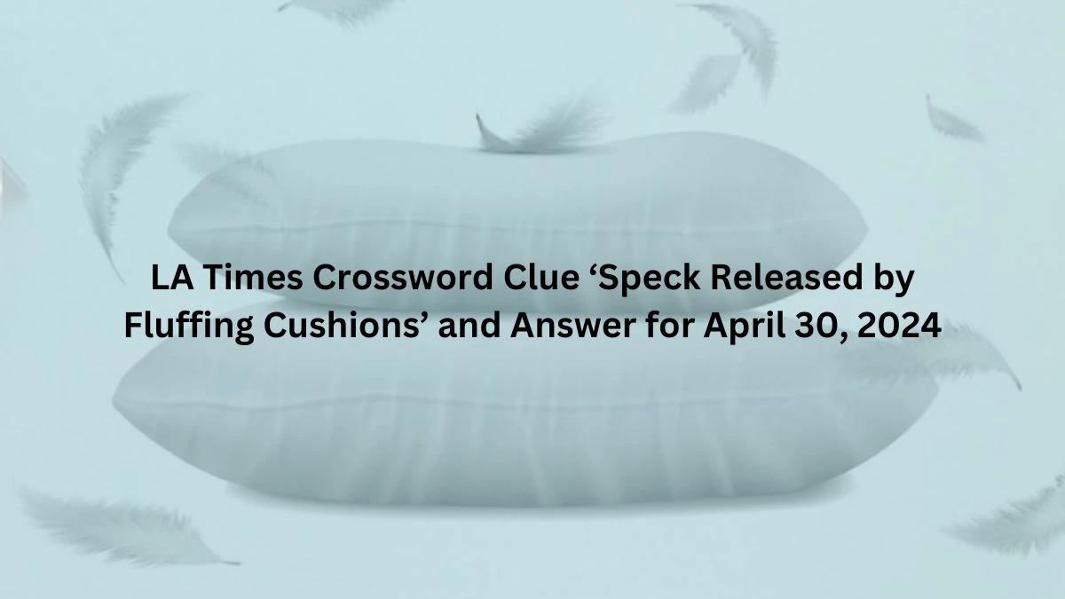 LA Times Crossword Clue Speck Released by Fluffing Cushions and