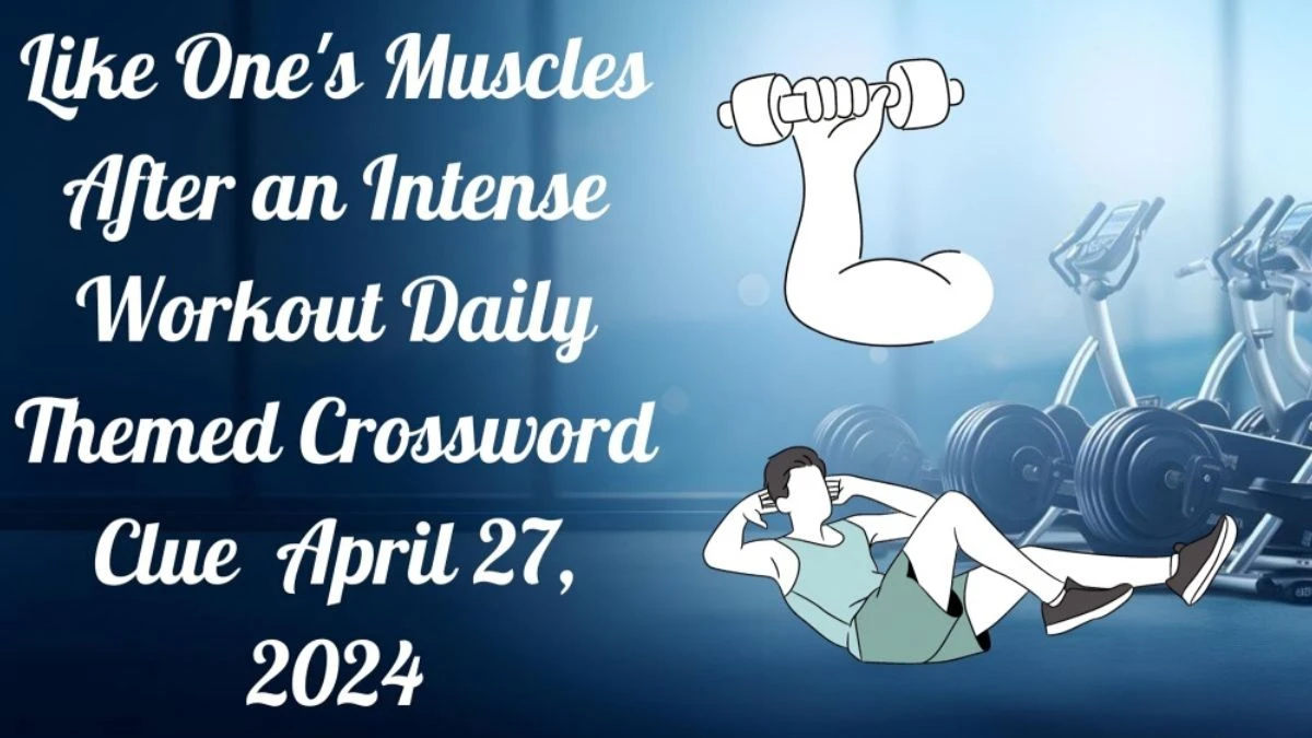 Like One's Muscles After an Intense Workout Daily Themed Crossword Clue as of April 27, 2024
